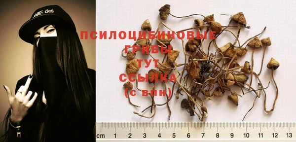гашиш Вязьма